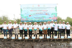 Toyota 60th Anniversary plant 600,000 trees - Bangpu Recreation Center - Samut Prakan 2022