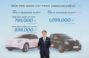 New GWM ORA Good Cat 2024