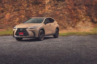 LEXUS NX 450h+ Overtrail AWD 2024